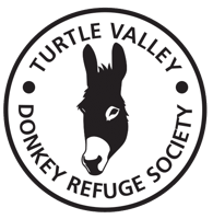 Turtle Valley Donkey Refuge