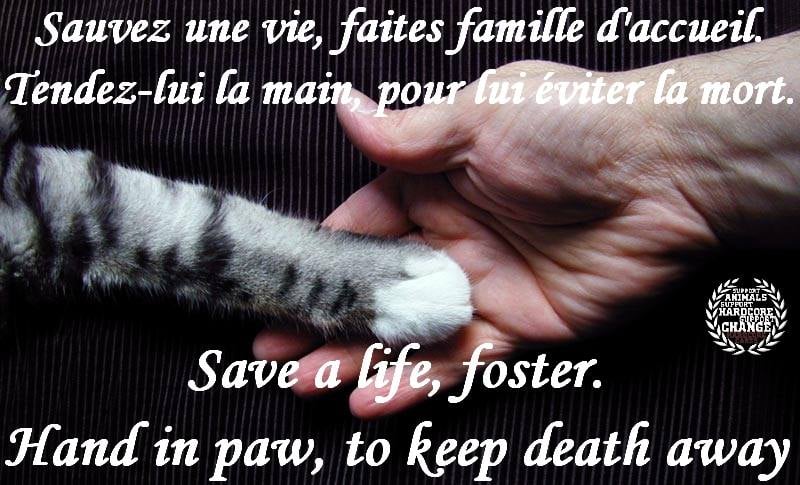 Home Hardcore Cares France Home Hardcore Cares France