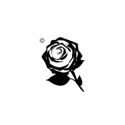 19Rose8