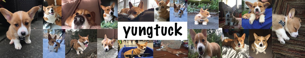 yungtuck