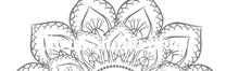 CitrusShaktiShop