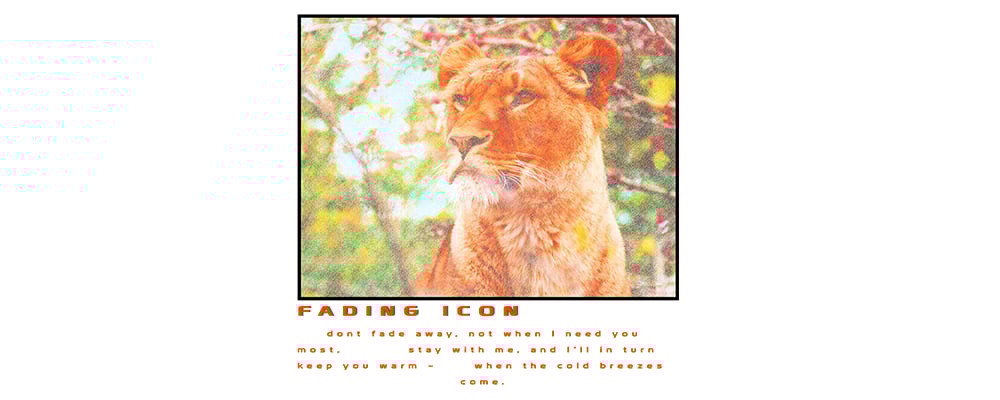Slideshow image 1