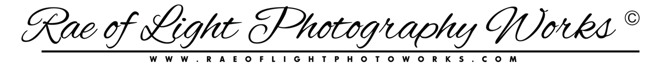 Rae of Light Photography Works 