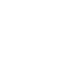 SV Customs
