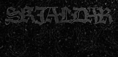 Skjaldar Official Merchandise