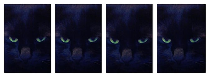catscapes