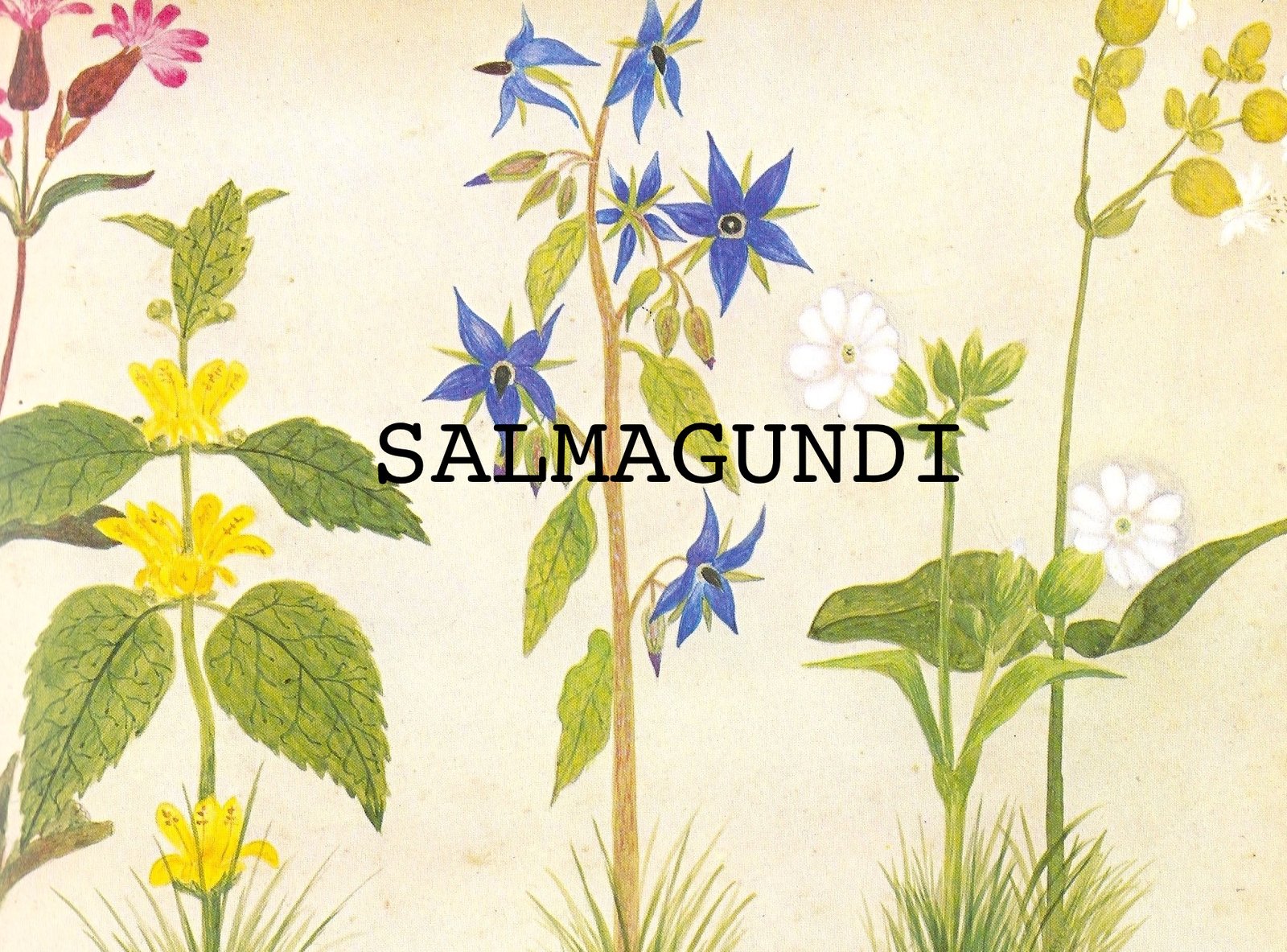 Salmagundi 