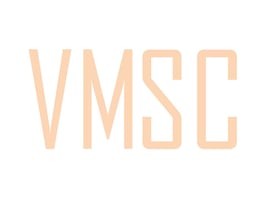 VMSC