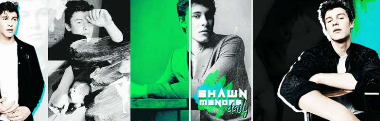 ShawnMendesWristbands