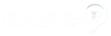 BlackbulbImagery