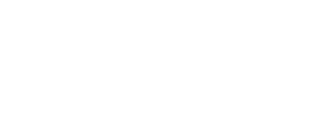 BrainWave Co.