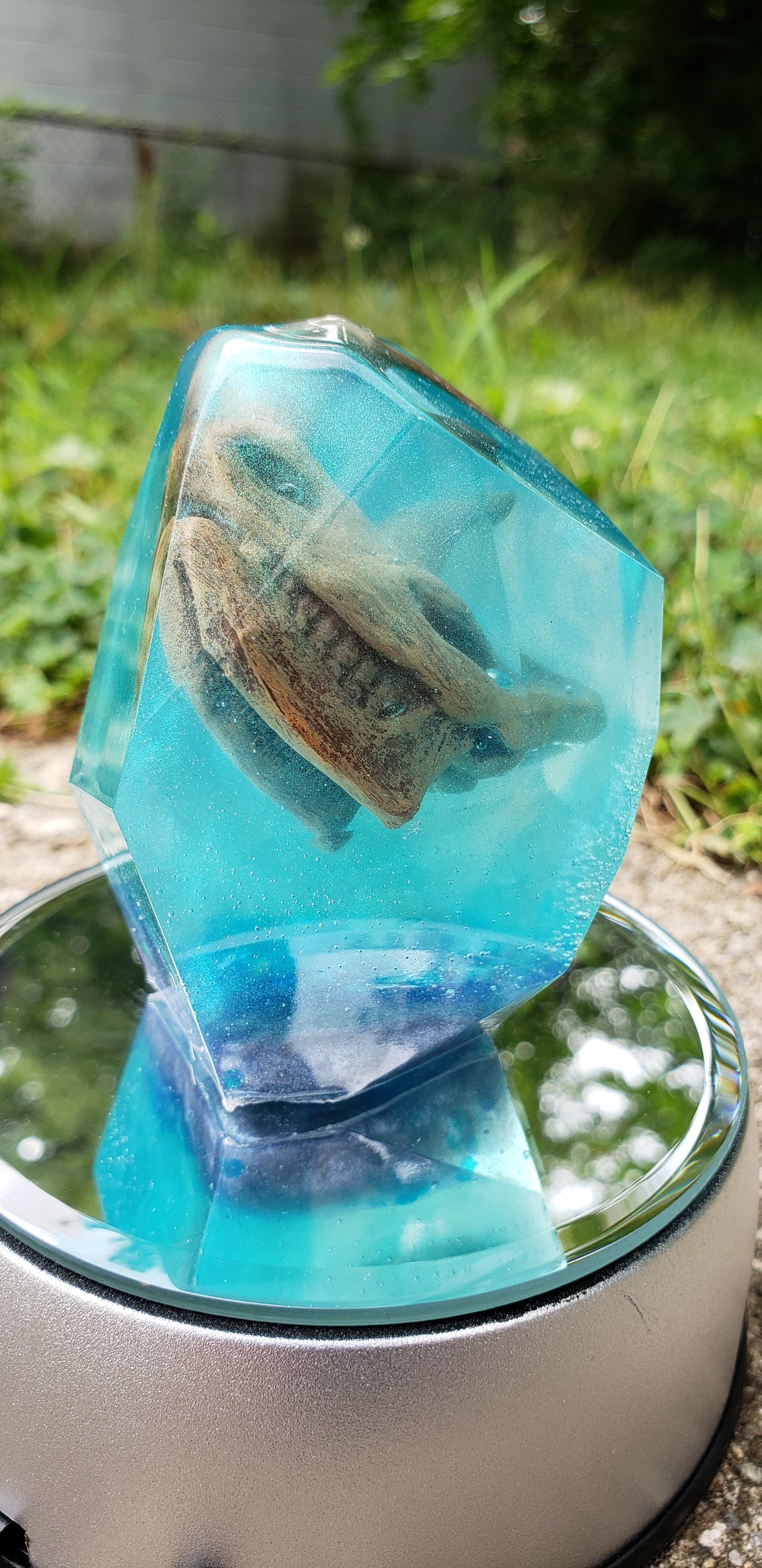 Slideshow image 5
