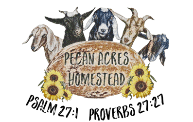 Pecan Acres Homestead