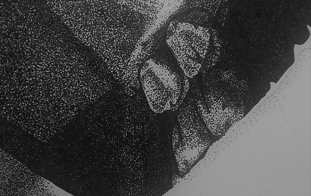 Slideshow image 4