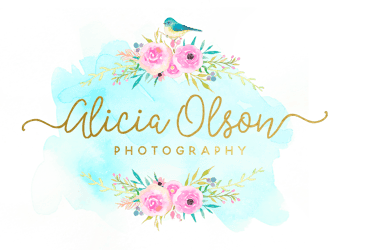 Alicia Olson Photography