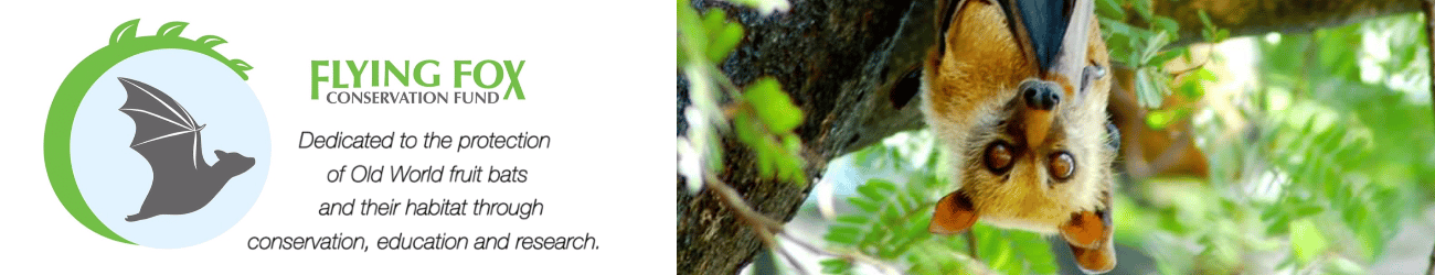 Flying Fox Conservation Fund