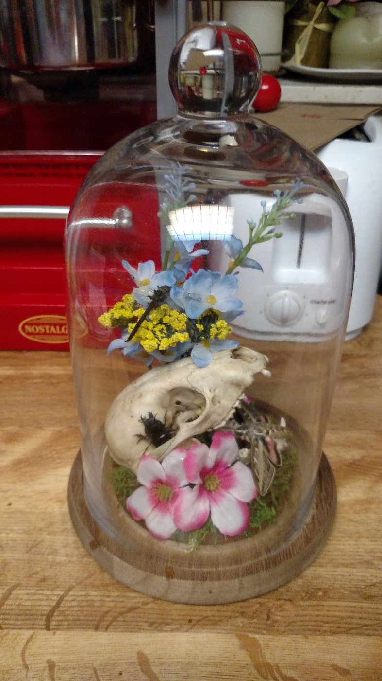 Welcome to Nics Bug Baubles 