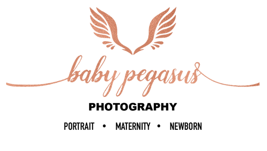 Baby Pegasus Photography Home