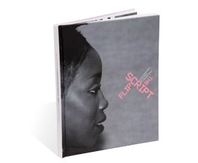  Flip The Script Print Store