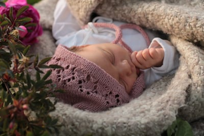 Slideshow image 5