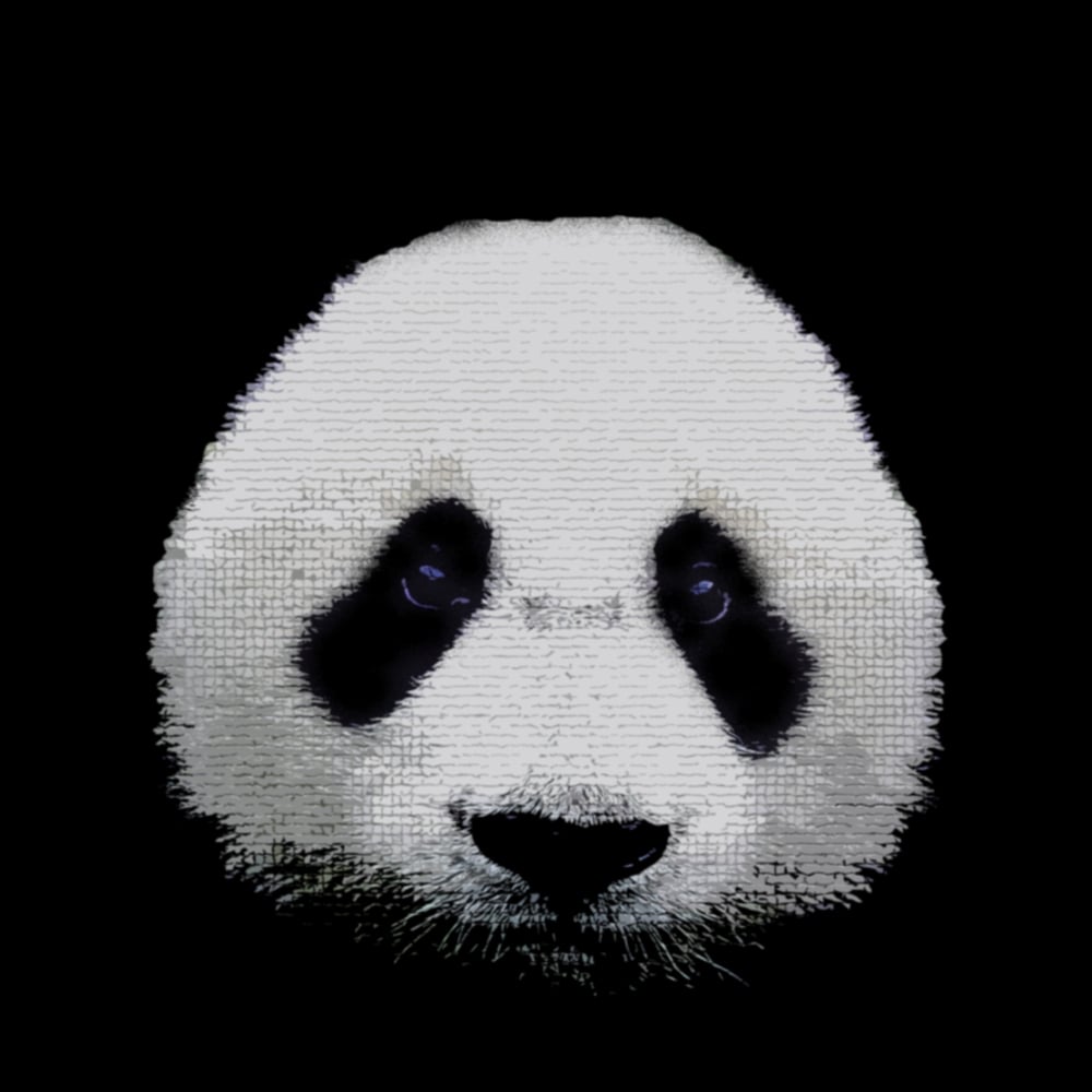 Panda Panda! Online Store