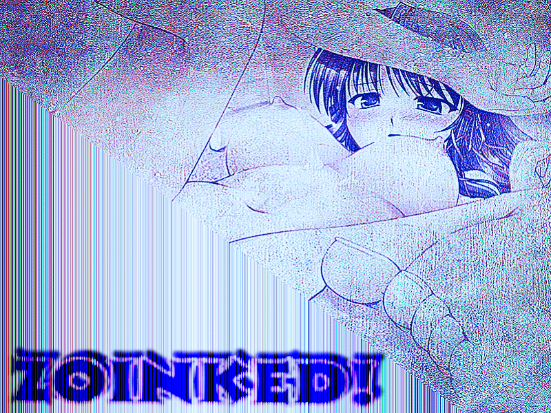 Welcome to ZOINKED!