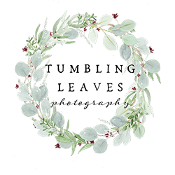 Tumbling Leaves Photography