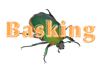 Basking Apparel