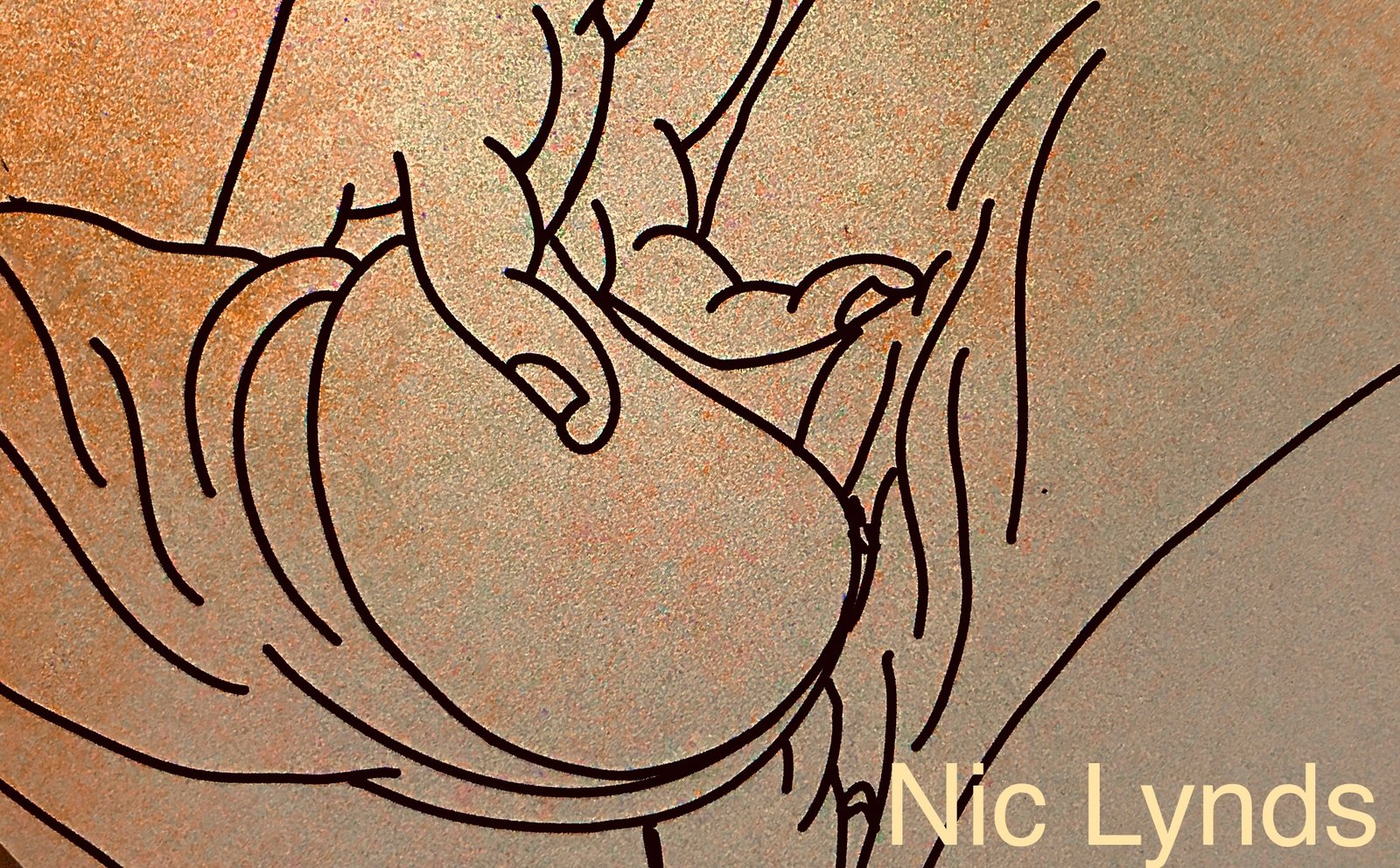 Nic Lynds