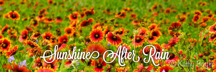 Sunshine After Rain