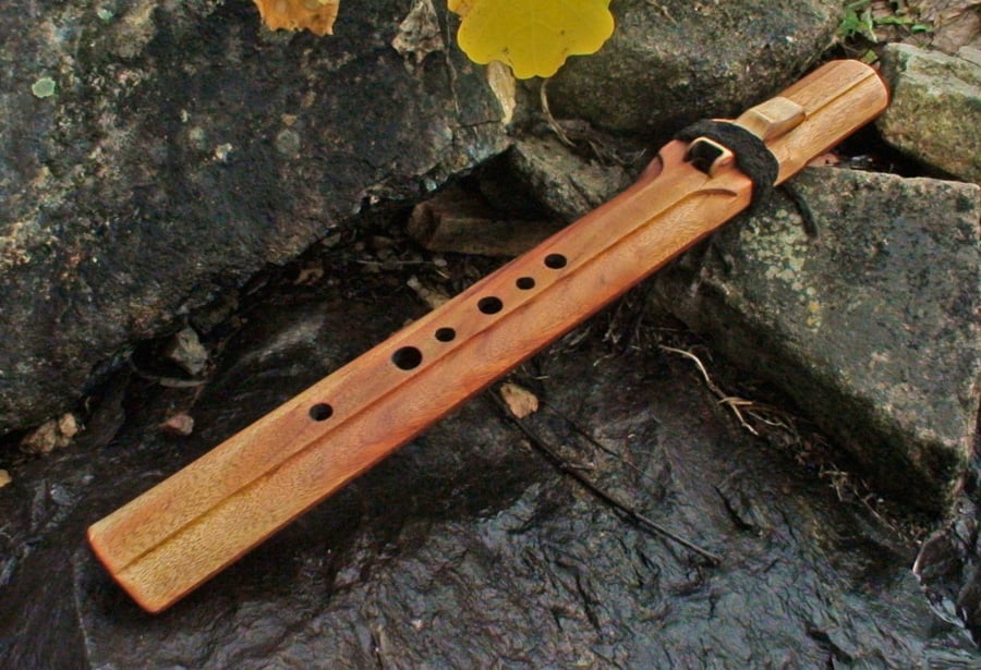 Slideshow image 7