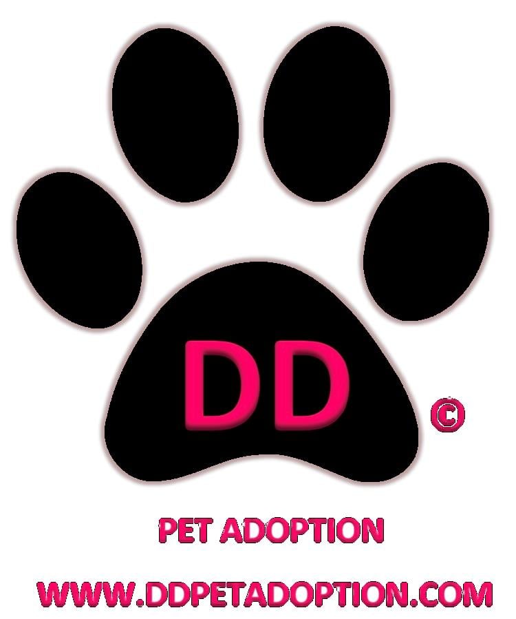 DD PET ADOPTION