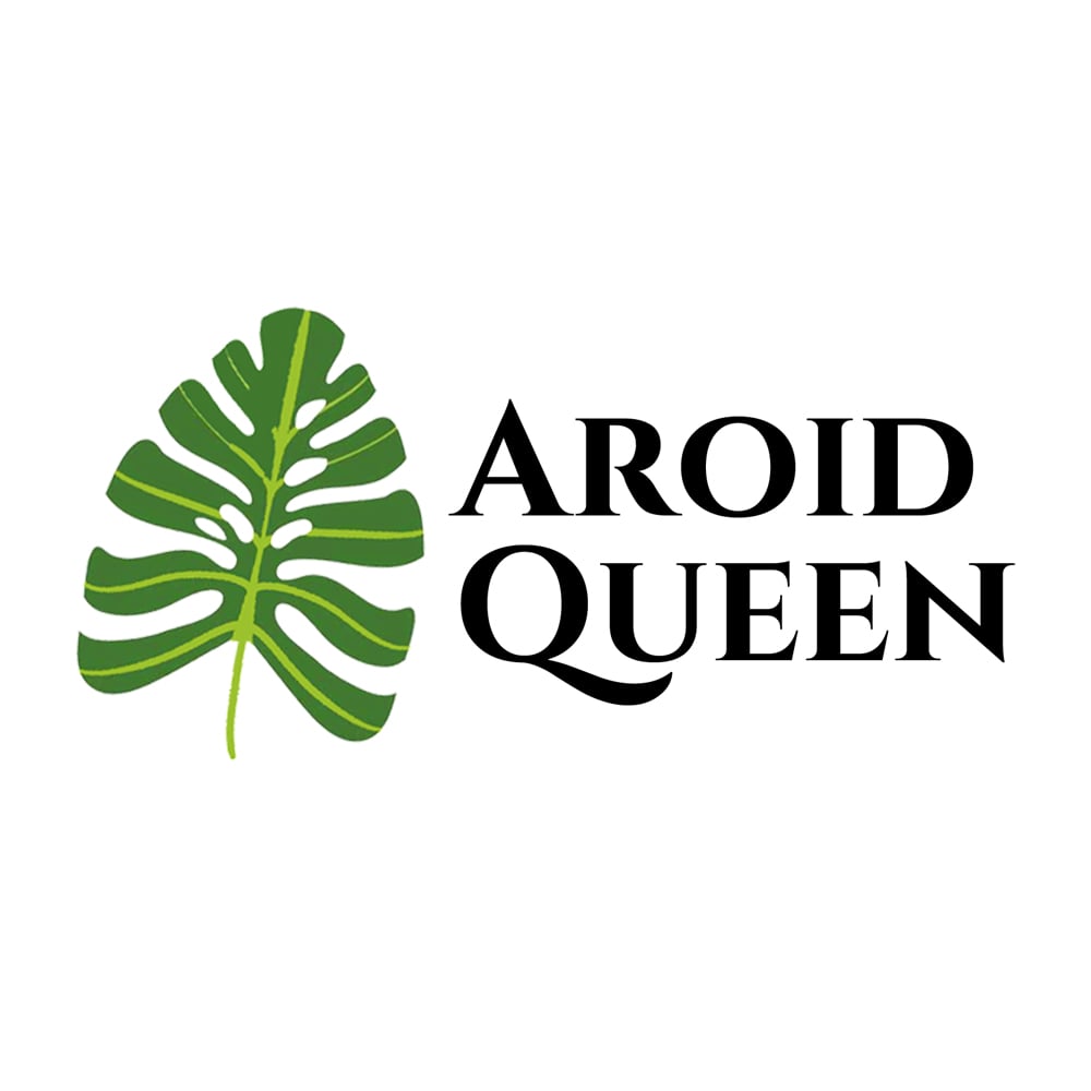 AroidQueen