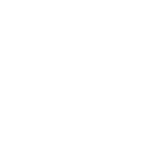 successthruloyalty
