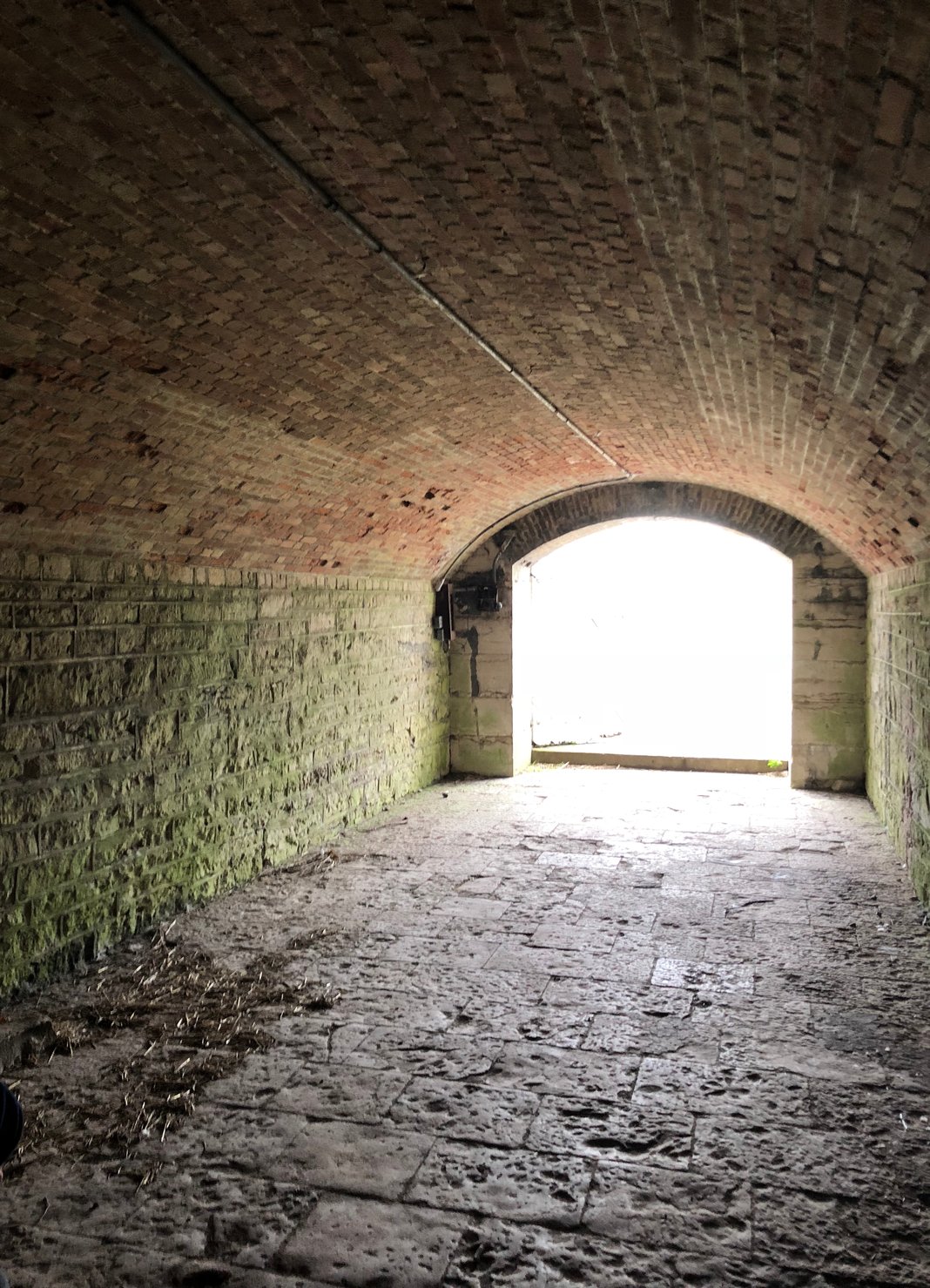 Slideshow image 2