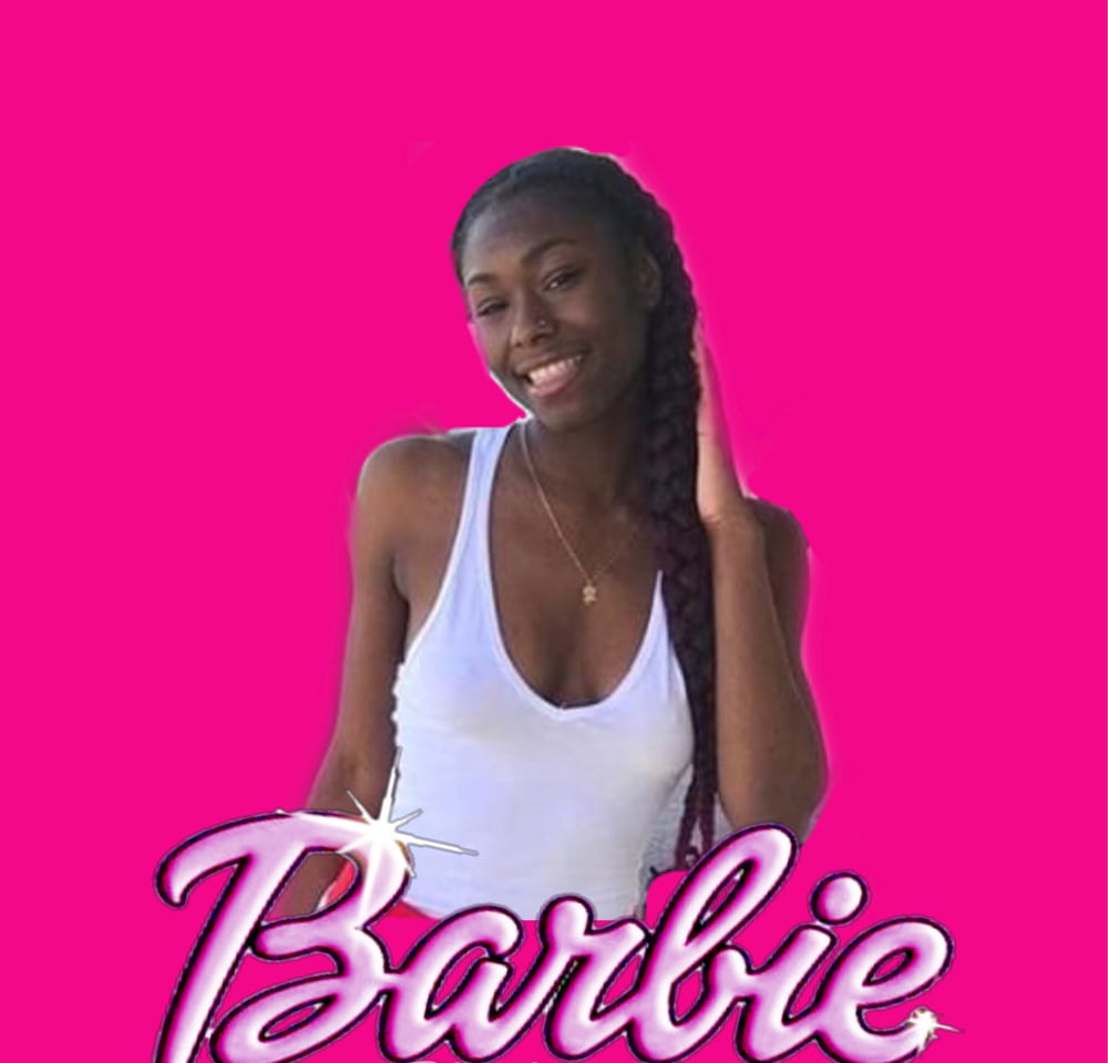 thebarbiehouse_