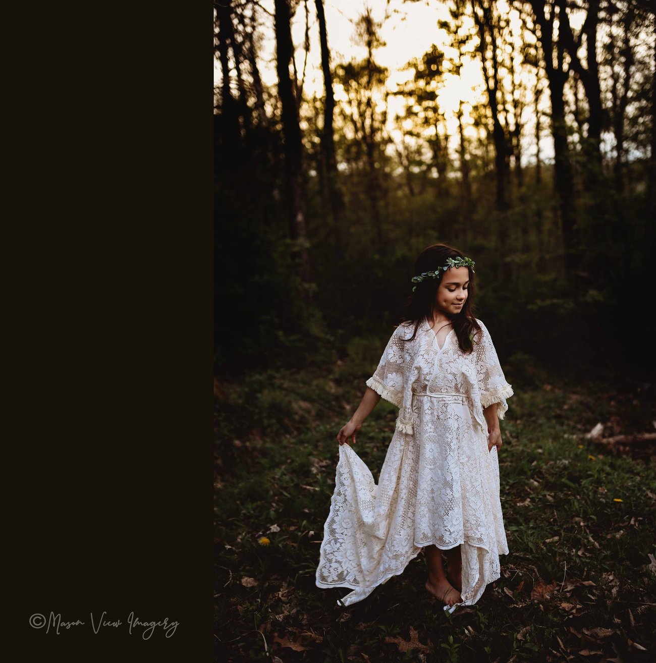 Home Mason View Imagery LLC