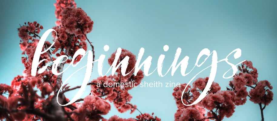 Beginnings Zine: a Domestic Sheith Zine Home