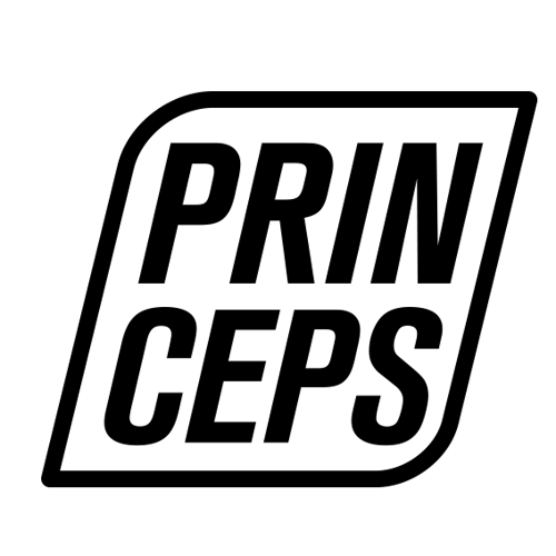 princepsclothing