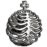 Nigra Opera Productions