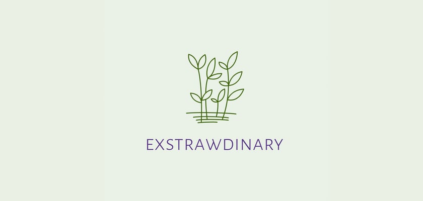 Exstrawdinary Home