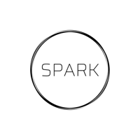 The Spark Clothing Company 