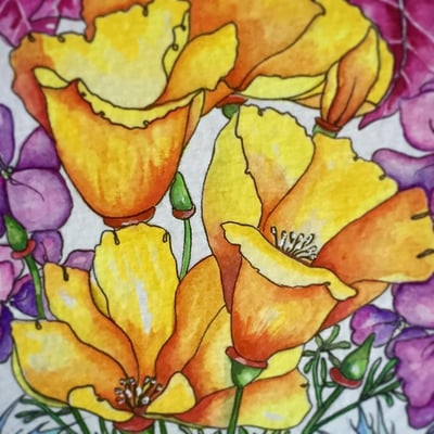 Slideshow image 1
