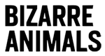 BIZARRE ANIMALS