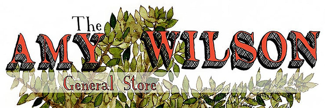 amy wilson (store) Home