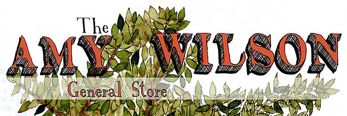 amy wilson (store)