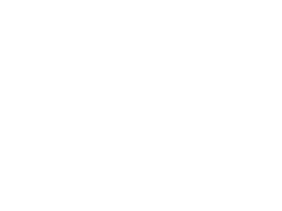 Lovely Nest Photography