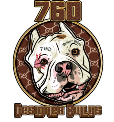 760DesignerBullys Home