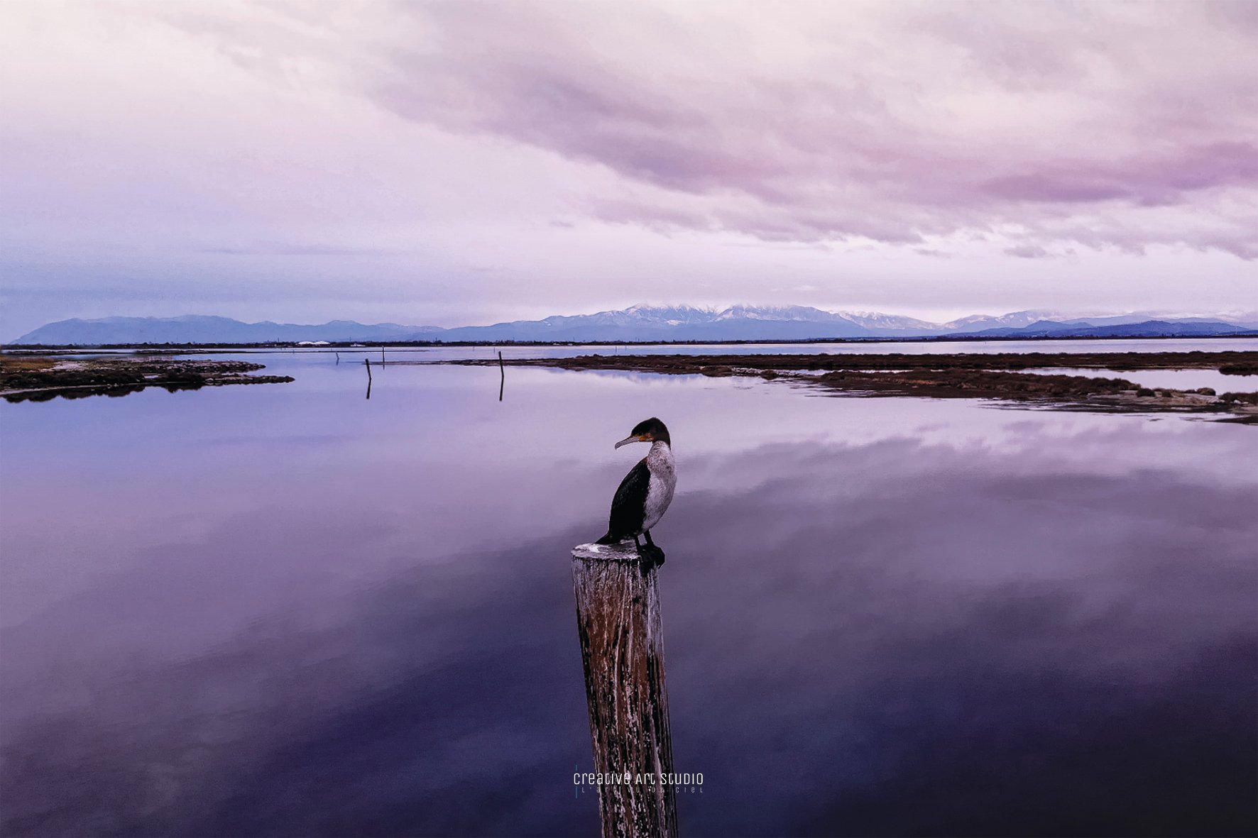 Slideshow image