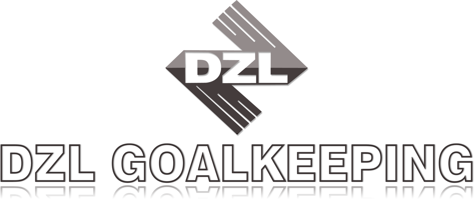 dzl goalkeeper gloves